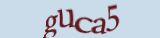 �����